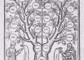 Représentation simplifiée de l’Arbre à Dissidence
