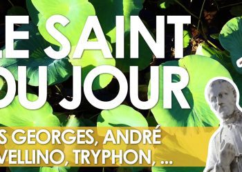 Dix novembre – Saints Georges apôtre du Velay, André Avellino, Tryphon, Respice et Nymphe