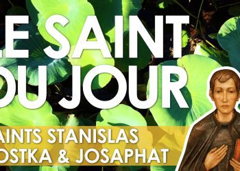 Quinze novembre – Saints Malo et Albert le Grand