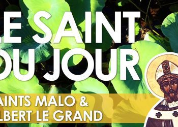 Quinze novembre – Saints Malo et Albert le Grand